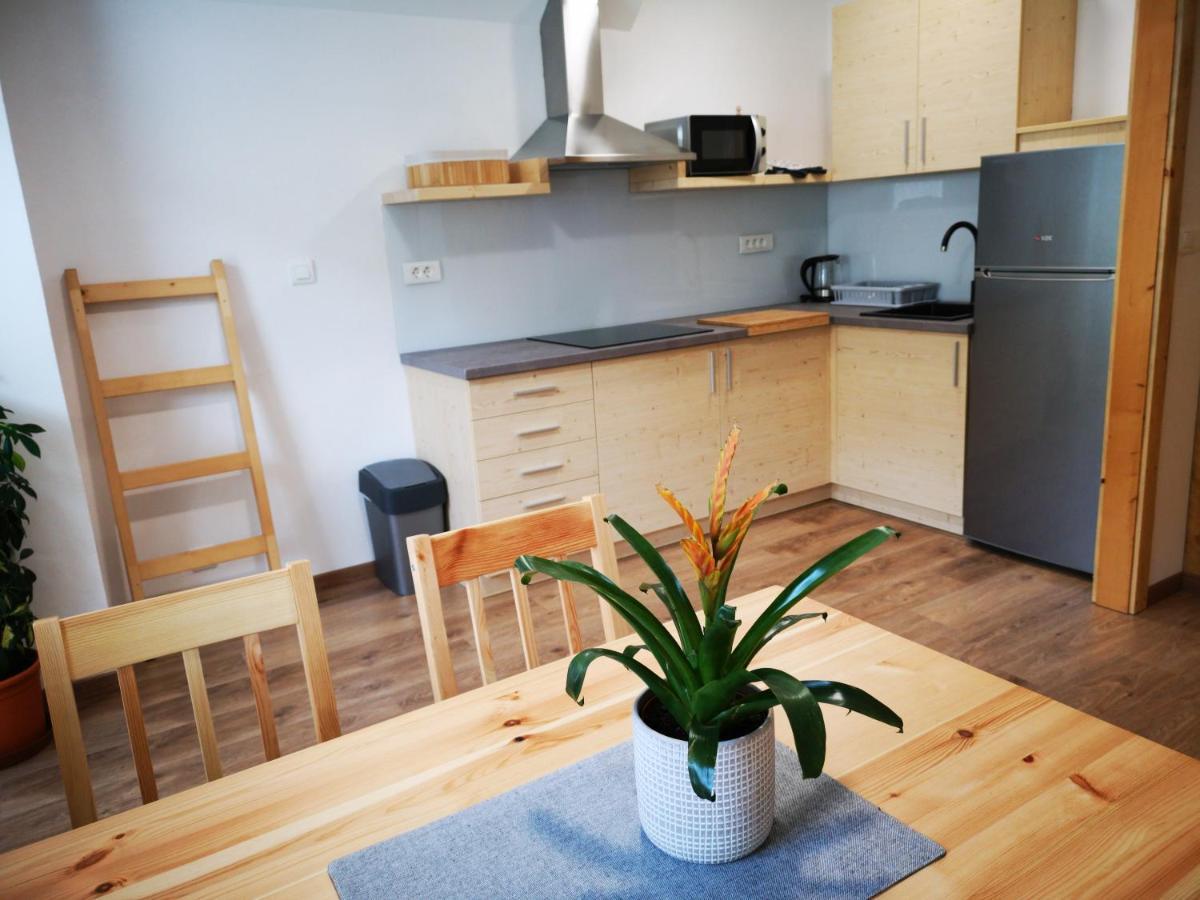 Trisa Apartments Bohinj Zewnętrze zdjęcie