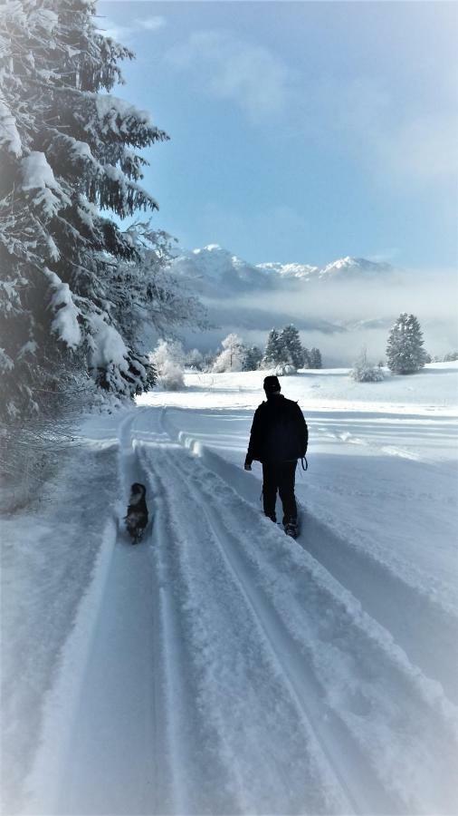Trisa Apartments Bohinj Zewnętrze zdjęcie