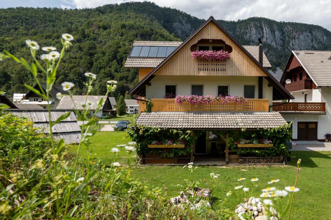 Trisa Apartments Bohinj Zewnętrze zdjęcie